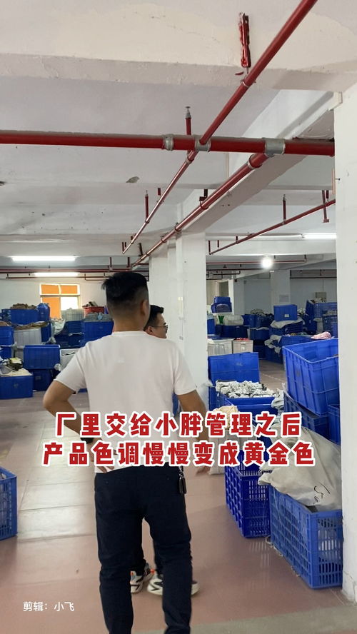 黃金時(shí)代 小胖的品牌色彩革命與工廠轉(zhuǎn)型記